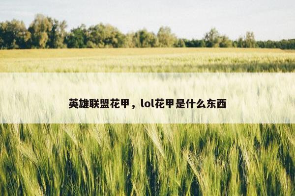 英雄联盟花甲,lol花甲是什么东西 英雄联盟花甲,lol花甲是什么东西