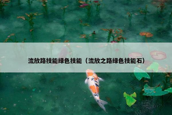 流放路技能绿色技能(流放之路绿色技能石) 流放路技能绿色技能(流放之路绿色技能石)