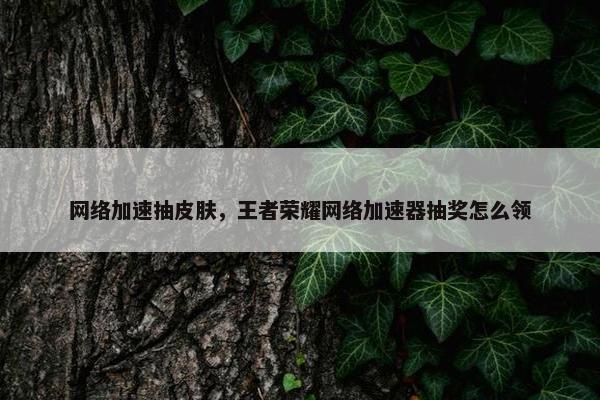 网络加速抽皮肤，王者荣耀网络加速器抽奖怎么领