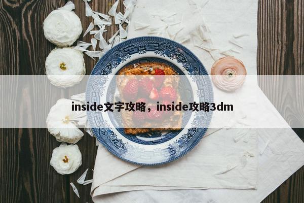 inside文字攻略，inside攻略3dm