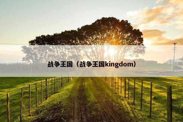 战争王国(战争王国kingdom) 战争王国(战争王国kingdom)