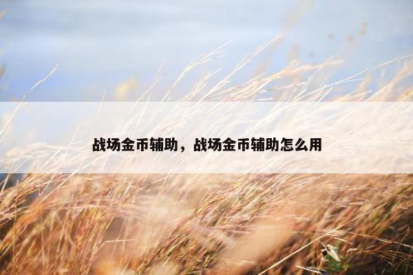 战场金币辅助，战场金币辅助怎么用