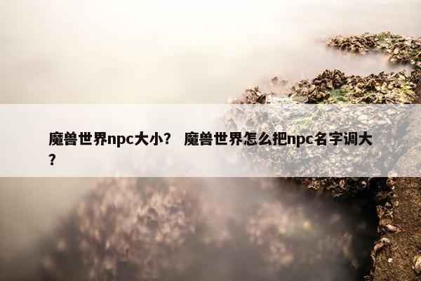 魔兽世界npc大小？ 魔兽世界怎么把npc名字调大？
