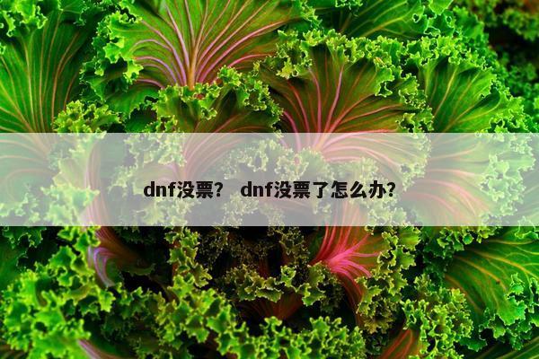 dnf没票？ dnf没票了怎么办？