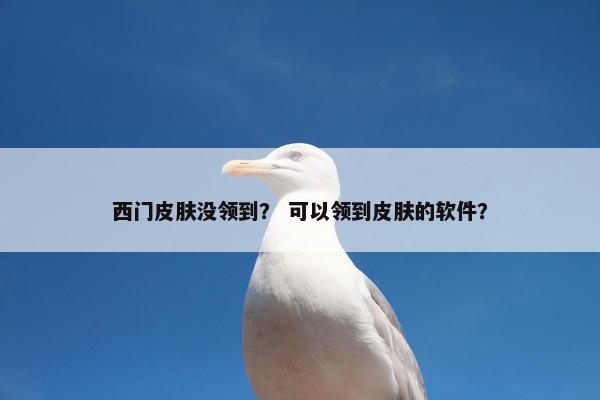 西门皮肤没领到？ 可以领到皮肤的软件？