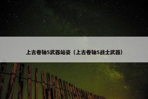 上古卷轴5武器站姿（上古卷轴5战士武器）