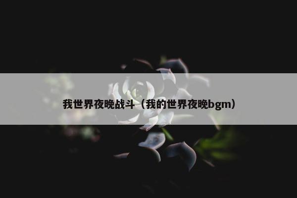 我世界夜晚战斗(我的世界夜晚bgm) 我世界夜晚战斗(我的世界夜晚bgm)