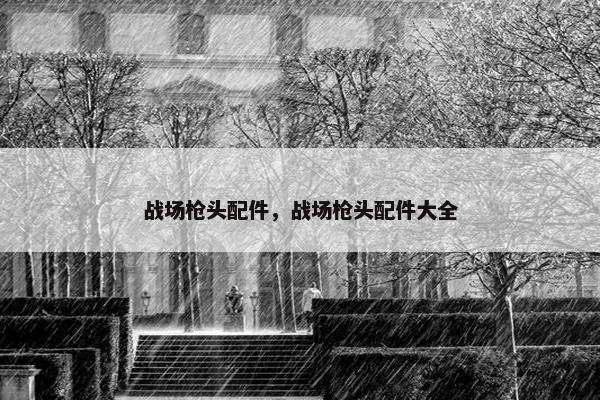 战场枪头配件，战场枪头配件大全