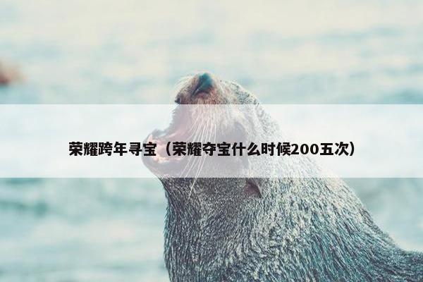 荣耀跨年寻宝（荣耀夺宝什么时候200五次）