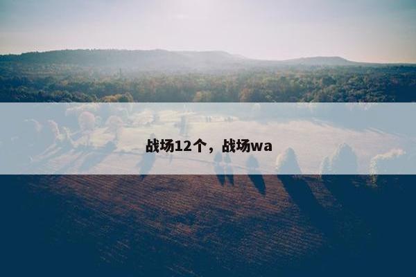 战场12个,战场wa 战场12个,战场wa