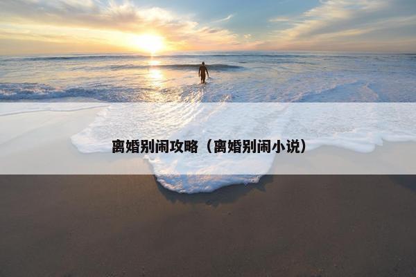 离婚别闹攻略（离婚别闹小说）