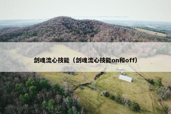 剑魂流心技能（剑魂流心技能on和off）