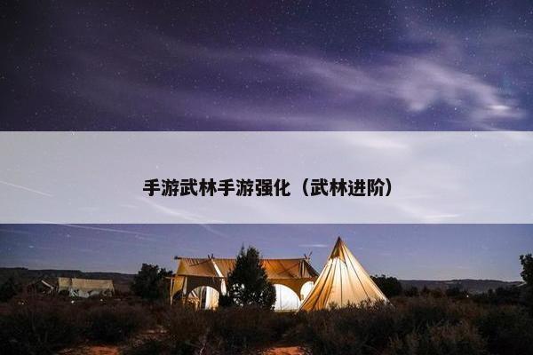 手游武林手游强化（武林进阶）