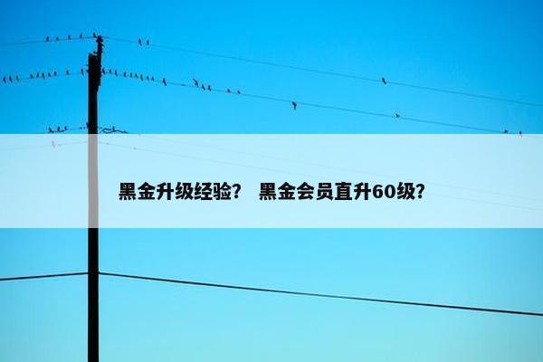 黑金升级经验? 黑金会员直升60级? 黑金升级经验? 黑金会员直升60级?