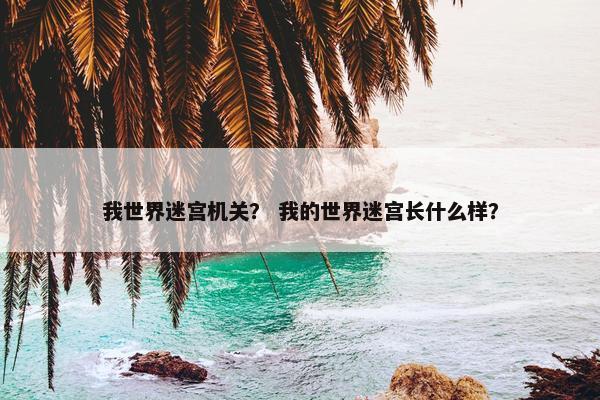 我世界迷宫机关？ 我的世界迷宫长什么样？