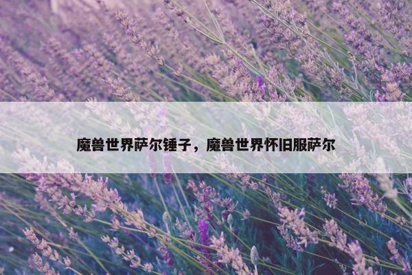 魔兽世界萨尔锤子，魔兽世界怀旧服萨尔