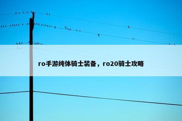 ro手游纯体骑士装备,ro20骑士攻略 ro手游纯体骑士装备,ro20骑士攻略