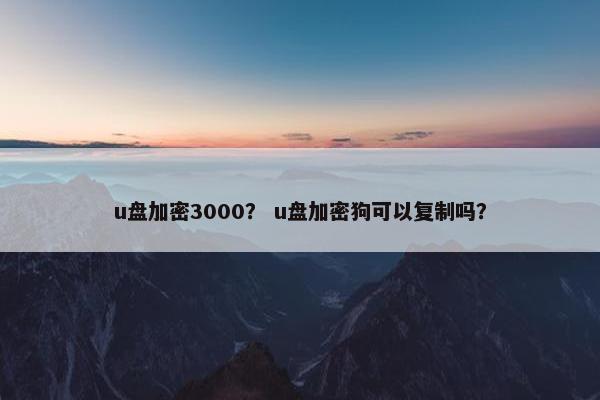 u盘加密3000? u盘加密狗可以复制吗? u盘加密3000? u盘加密狗可以复制吗?