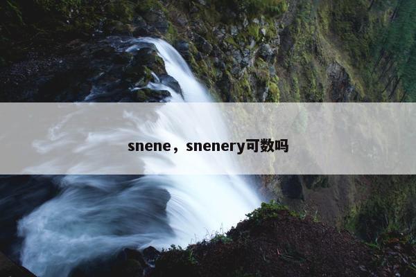 snene,snenery可数吗 snene,snenery可数吗