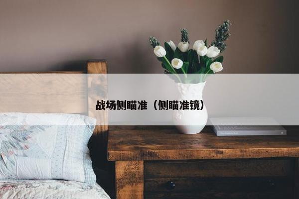 战场侧瞄准(侧瞄准镜) 战场侧瞄准(侧瞄准镜)