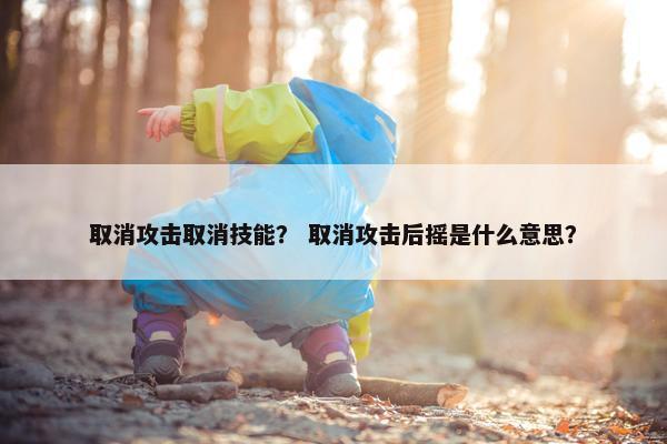 取消攻击取消技能？ 取消攻击后摇是什么意思？