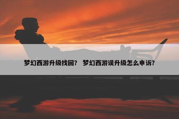梦幻西游升级找回? 梦幻西游误升级怎么申诉? 梦幻西游升级找回? 梦幻西游误升级怎么申诉?