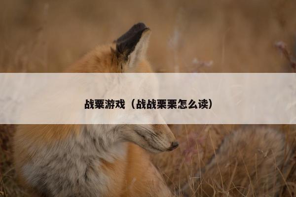 战粟游戏(战战栗栗怎么读) 战粟游戏(战战栗栗怎么读)