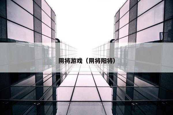 阴将游戏（阴将阳将）