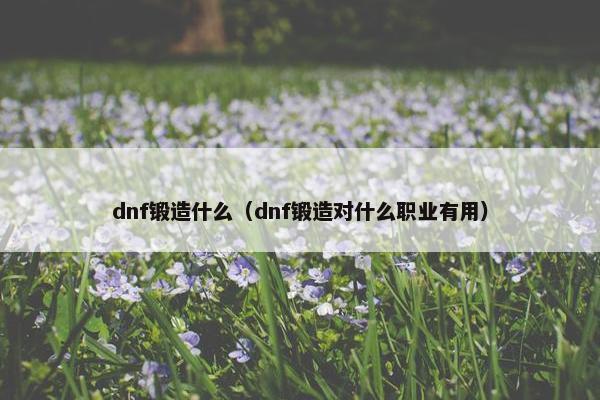 dnf锻造什么（dnf锻造对什么职业有用）