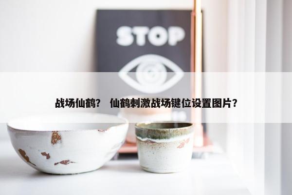 战场仙鹤? 仙鹤刺激战场键位设置图片? 战场仙鹤? 仙鹤刺激战场键位设置图片?