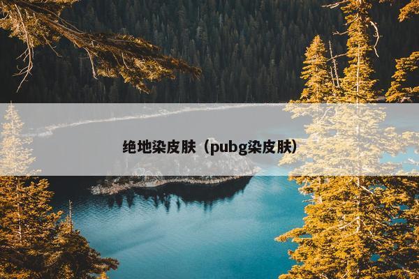 绝地染皮肤（pubg染皮肤）