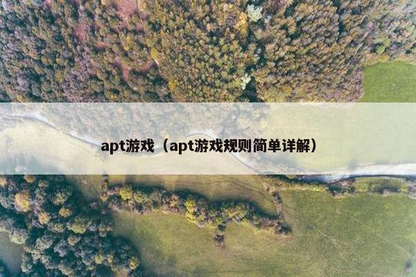 apt游戏（apt游戏规则简单详解）
