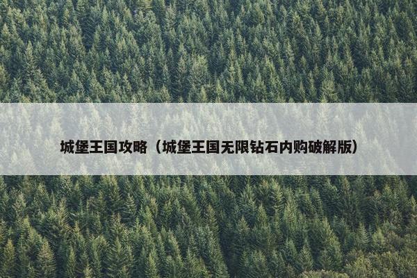 城堡王国攻略（城堡王国无限钻石内购破解版）