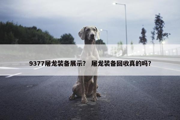 9377屠龙装备展示？ 屠龙装备回收真的吗？