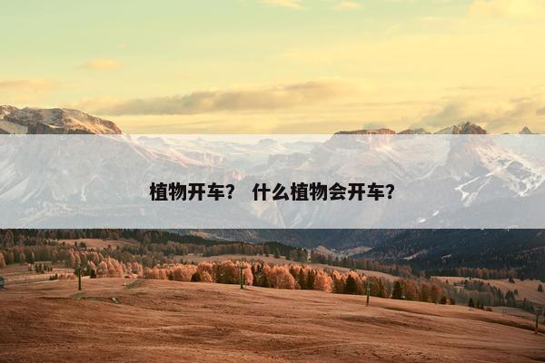 植物开车? 什么植物会开车? 植物开车? 什么植物会开车?