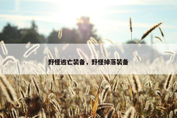野怪逃亡装备，野怪掉落装备