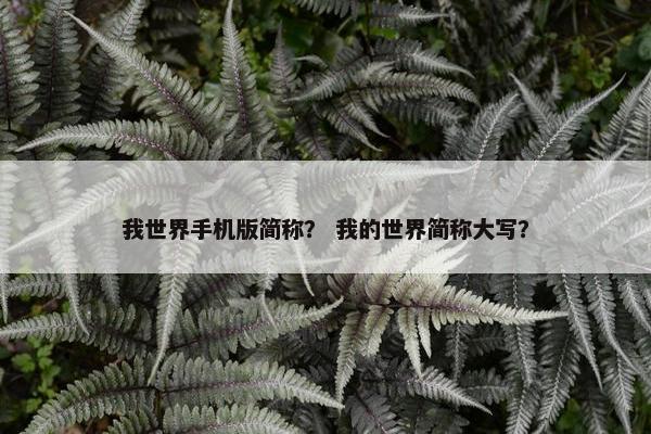 我世界手机版简称？ 我的世界简称大写？