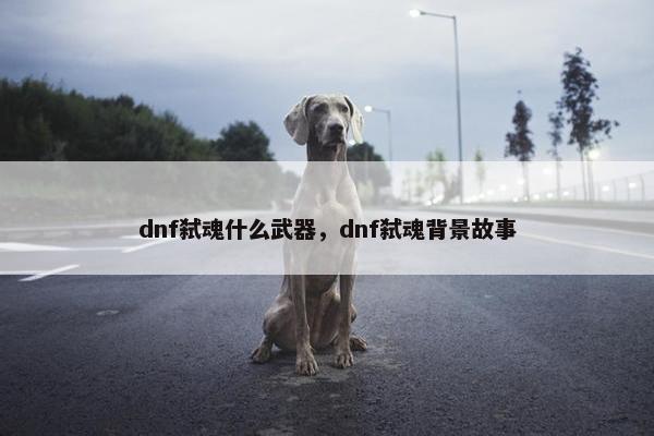 dnf弑魂什么武器，dnf弑魂背景故事