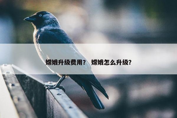 嫦娥升级费用？ 嫦娥怎么升级？
