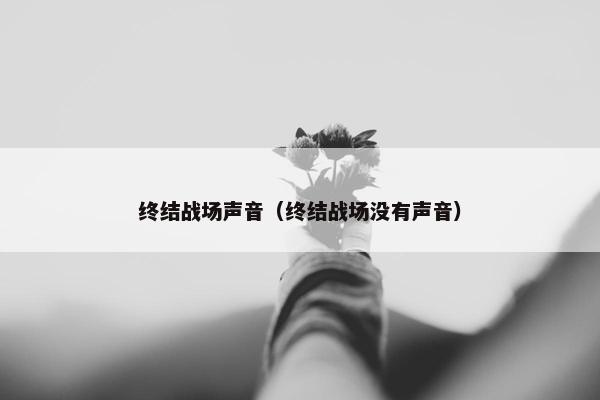 终结战场声音（终结战场没有声音）