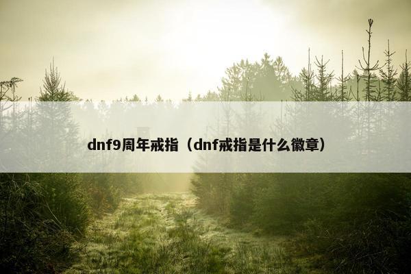 dnf9周年戒指（dnf戒指是什么徽章）
