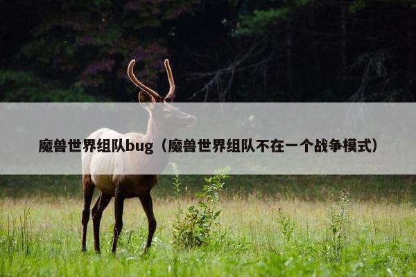 魔兽世界组队bug（魔兽世界组队不在一个战争模式）