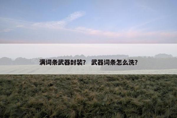 满词条武器封装？ 武器词条怎么洗？