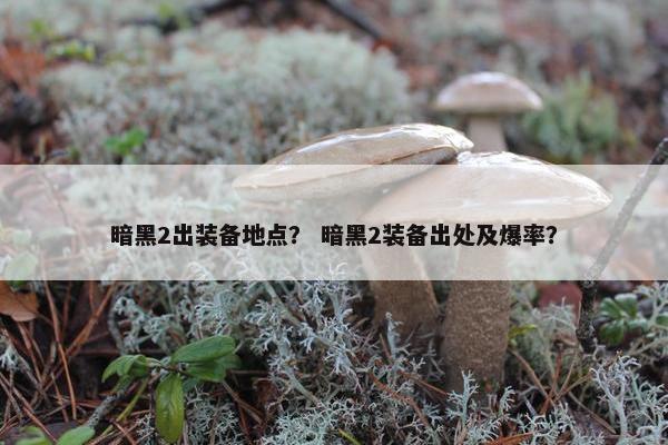 暗黑2出装备地点？ 暗黑2装备出处及爆率？