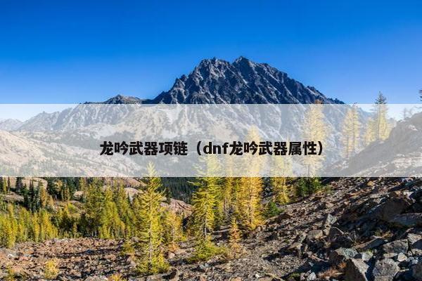 龙吟武器项链（dnf龙吟武器属性）