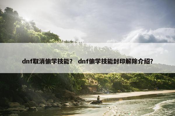 dnf取消偷学技能？ dnf偷学技能封印解除介绍？