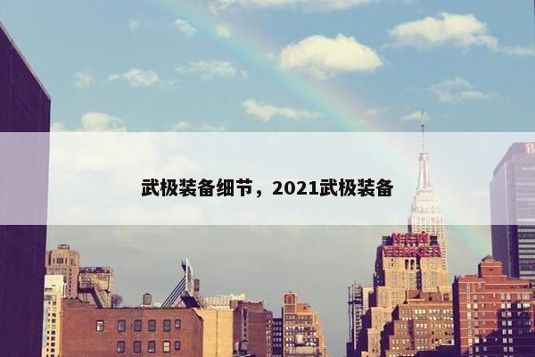 武极装备细节，2021武极装备