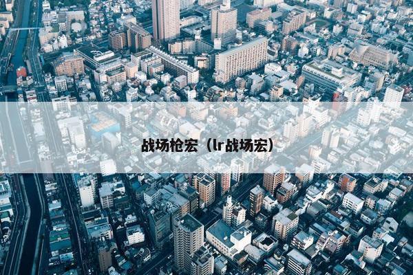 战场枪宏（lr战场宏）