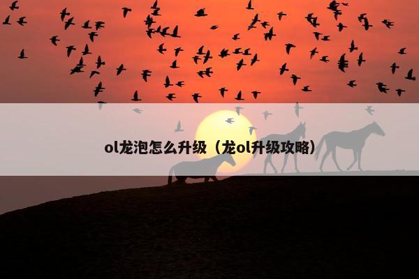 ol龙泡怎么升级（龙ol升级攻略）