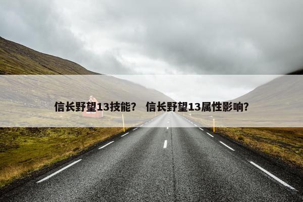 信长野望13技能？ 信长野望13属性影响？